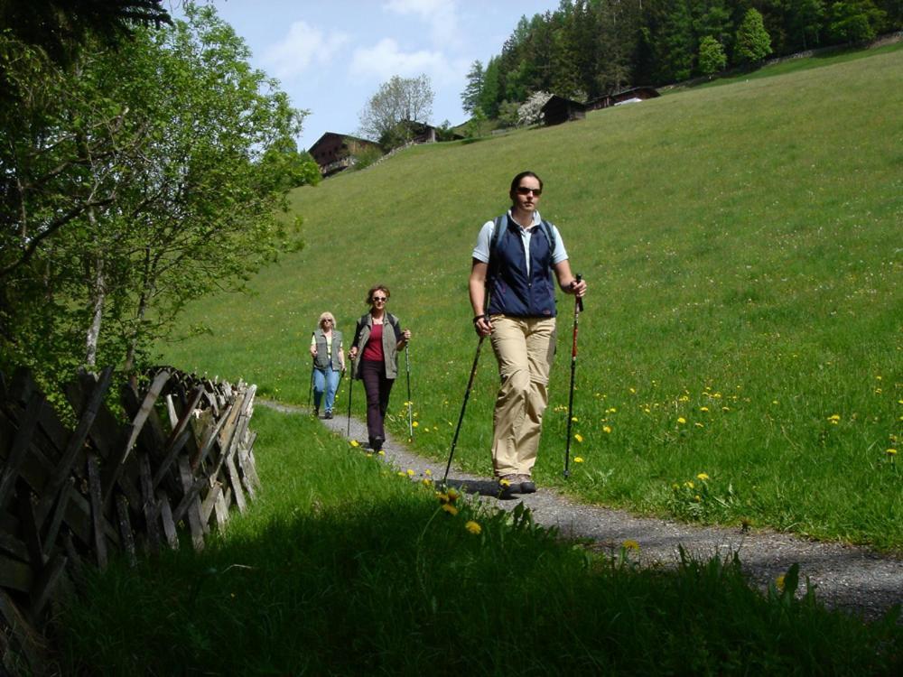 Hotel Gasthof Kroell - Inkl Nationalpark-Karte, 1 X Grossglockner Hochalpenstrasse Kostenlos, 1X Gerlos Alpenstrasse Kostenlos, Krimmler Wasserfaelle Kostenlos, Verschiedene Bergbahnen Kostenlos, Badesee Kostenlos, Bus & Zug Kostenlos, Genusskueche, Niedernsill Exteriör bild