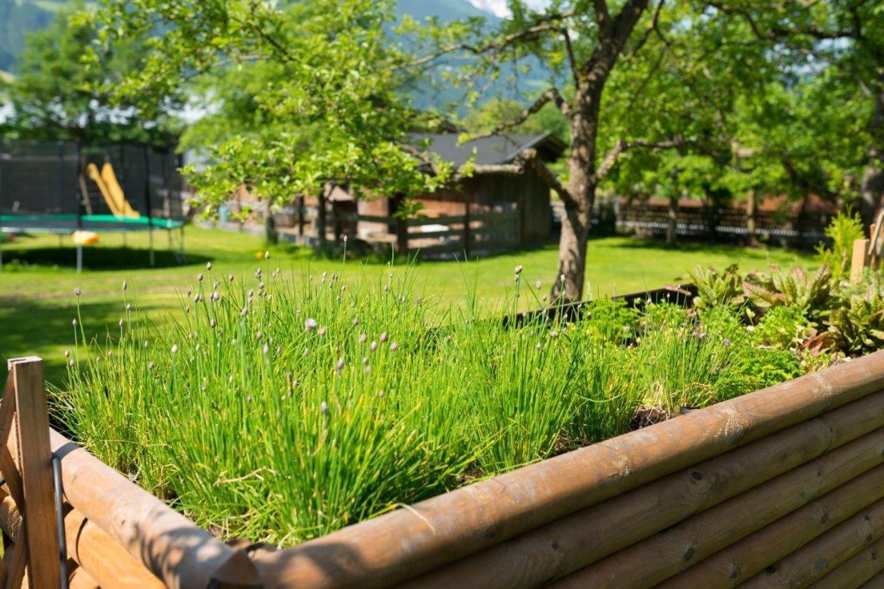 Hotel Gasthof Kroell - Inkl Nationalpark-Karte, 1 X Grossglockner Hochalpenstrasse Kostenlos, 1X Gerlos Alpenstrasse Kostenlos, Krimmler Wasserfaelle Kostenlos, Verschiedene Bergbahnen Kostenlos, Badesee Kostenlos, Bus & Zug Kostenlos, Genusskueche, Niedernsill Exteriör bild